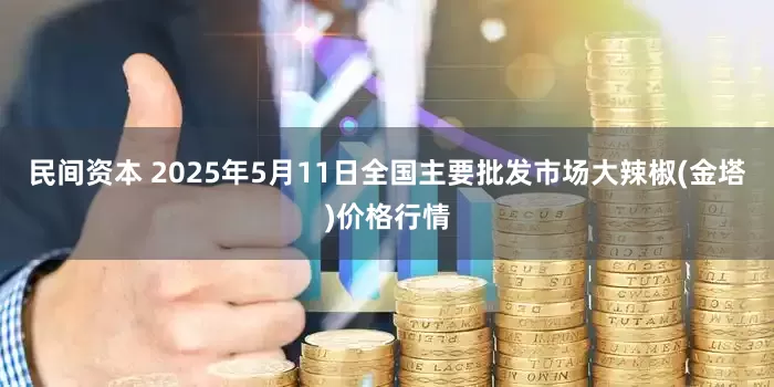 民间资本 2025年5月11日全国主要批发市场大辣椒(金塔)价格行情