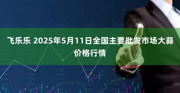 飞乐乐 2025年5月11日全国主要批发市场大蒜价格行情