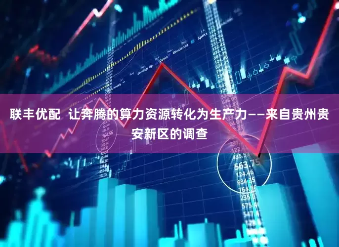 联丰优配  让奔腾的算力资源转化为生产力——来自贵州贵安新区的调查