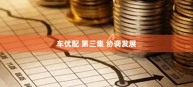 车优配 第三集 协调发展