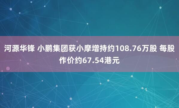 河源华锋 小鹏集团获小摩增持约108.76万股 每股作价约67.54港元